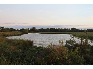 Tract 8 - LAND AUCTION - 440+/- Acres offered in 15 Tracts in Tulsa County